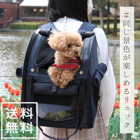 楽天市場 リュックキャリー 大きさ 犬 大型犬 適正犬種 ミニチュア シュナウザー 人気ランキング1位 売れ筋商品 楽天市場 リュックキャリー 大きさ 犬 大型犬 適正犬種 ミニチュア シュナウザー 人気ランキング1位 売れ筋商品